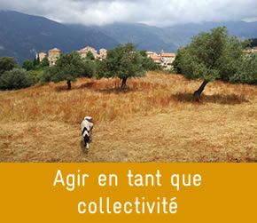 Terre de liens Corsica - Terra di u cumunu - Agir en tant que collectivité